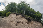 Halbinsel Jasmund. Kliffküste