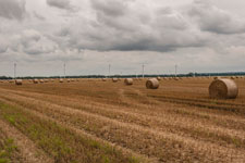 Unterwegs. Strohballen