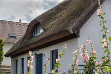 Halbinsel Mönchgut. Dorf Gager