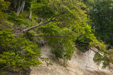 Halbinsel Jasmund. Erosion