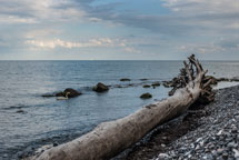 Halbinsel Jasmund. Am Strand