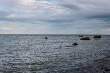 Halbinsel Jasmund. Am Strand