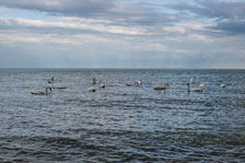 Halbinsel Jasmund. Am Strand