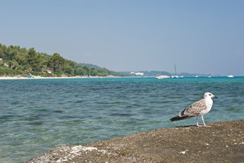Halbinsel Kassandra. Kallithea