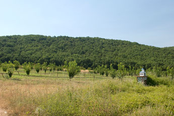 Zwischen Städten Kozani und Edessa
