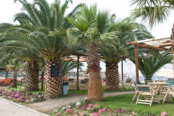 Halbinsel Sitonia. Porto Toroni