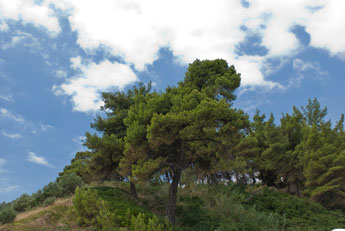Halbinsel Kassandra. Kallithea