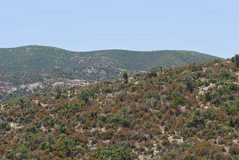 Halbinsel Sitonia