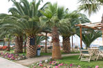 Halbinsel Sitonia. Porto Toroni