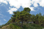 Halbinsel Kassandra. Kallithea