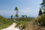 Halbinsel Kassandra. Polihorno