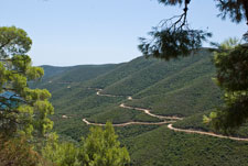 Halbinsel Sitonia