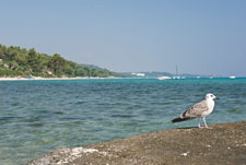 Halbinsel Kassandra. Kallithea