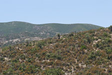 Halbinsel Sitonia