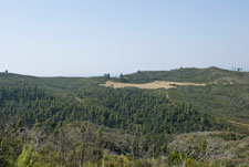 Halbinsel Kassandra. Polihorno