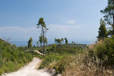 Halbinsel Kassandra. Polihorno