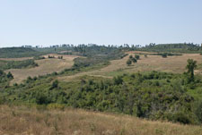 Halbinsel Kassandra. Polihorno
