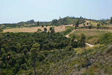 Halbinsel Kassandra. Polihorno