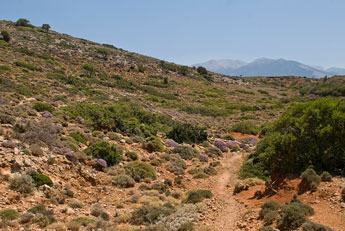 Wanderweg: Paleochora - Sougia