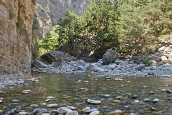 Samaria-Schlucht. Ein Bach