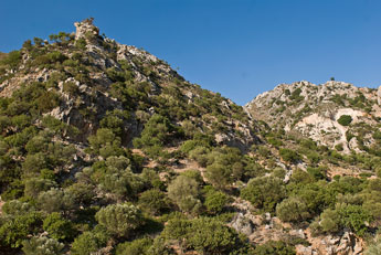 Nahe Dorfes Prodromi. Berglandschaft