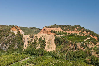 Kreta. Obst- und Olivenbäume