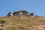 Nahe Dorfes Prodromi. Berglandschaft