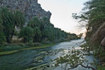 Palmenhain von Preveli