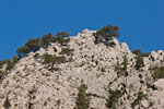 Schlucht Agia-Irini. Bergklippen