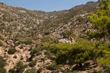 Wanderweg: Paleochora - Sougia