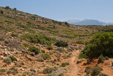 Wanderweg: Paleochora - Sougia