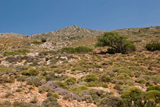 Wanderweg: Paleochora - Sougia