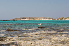 Insel Elafonisi