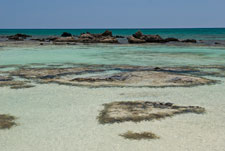 Insel Elafonisi. Ein Meeresbassins