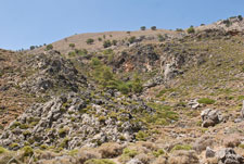 Ausgetrocknete bergige Landschaft