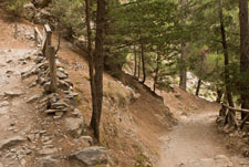 Samaria-Schlucht. Wanderweg