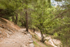 Samaria-Schlucht. Wanderweg