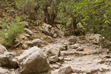 Samaria-Schlucht. Wanderweg