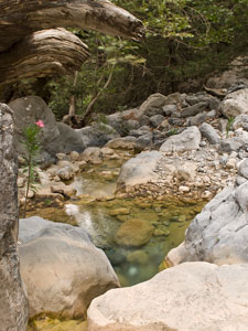 Samaria-Schlucht. Ein Bach