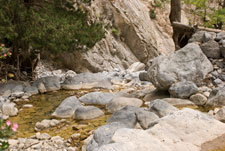 Samaria-Schlucht. Ein Bach
