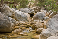 Samaria-Schlucht. Ein Bach