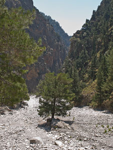 Samaria-Schlucht
