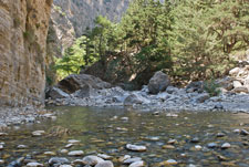 Samaria-Schlucht. Ein Bach