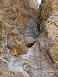 Samaria-Schlucht. Ausgetroknetes Bett