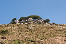Nahe Dorfes Prodromi. Berglandschaft