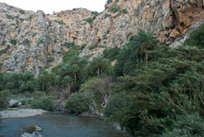 Palmenhain von Preveli