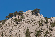 Schlucht Agia-Irini. Bergklippen