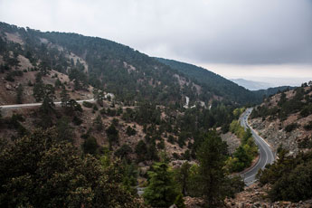 Atalanti Trail. Troodos-Gebirge