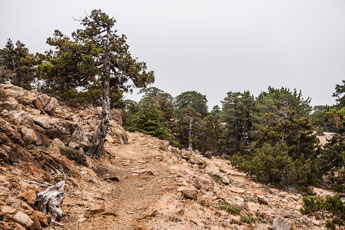 Atalanti Trail. Troodos-Gebirge