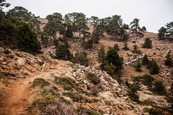 Atalanti Trail. Troodos-Gebirge